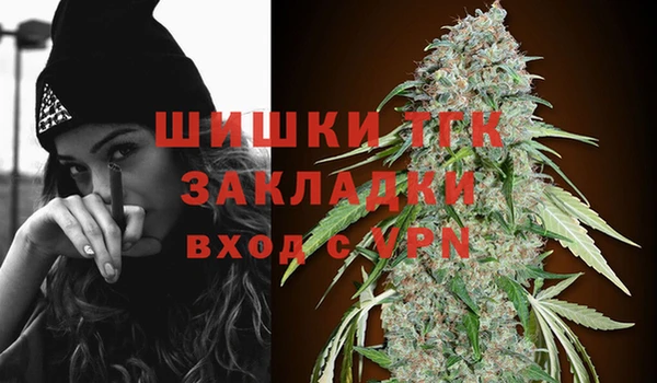 ПСИЛОЦИБИНОВЫЕ ГРИБЫ Аркадак