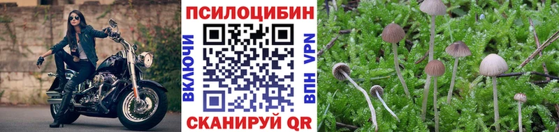 Галлюциногенные грибы Psilocybine cubensis  Купить  Ардон 